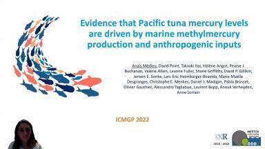 Evidence that Pacific tuna mercury levels are driven by marine methylmercury production and anthropogenic inputs